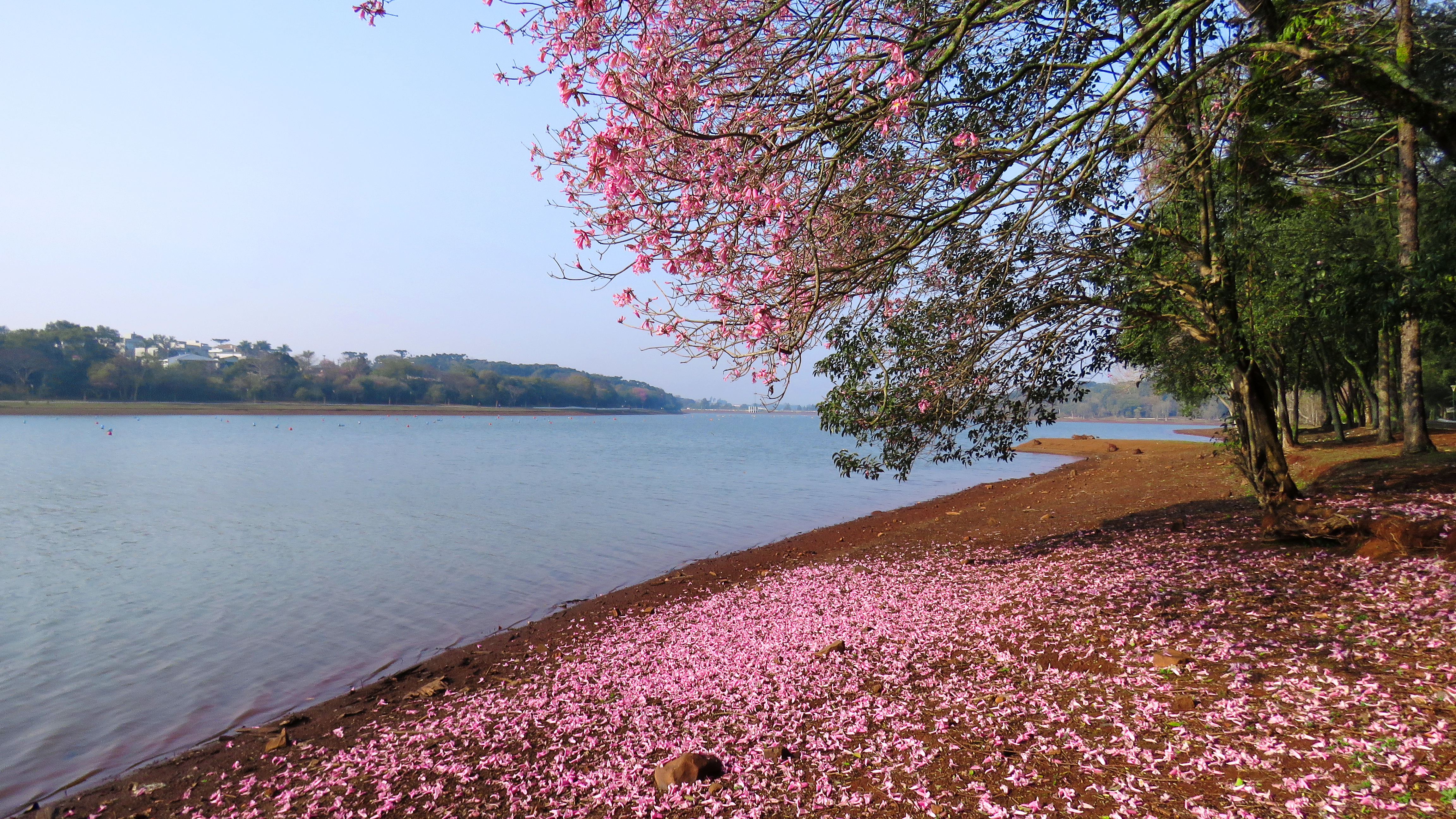 /arquivos/images/IMG_0699e.png